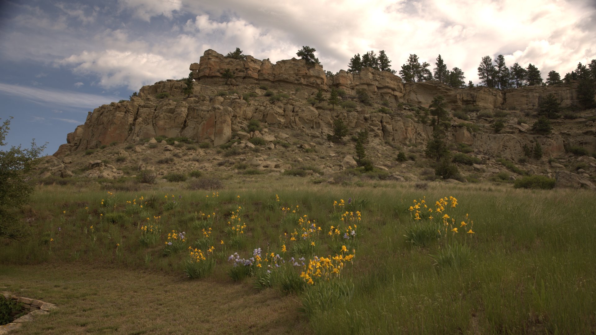 Yellowstone Club Estates